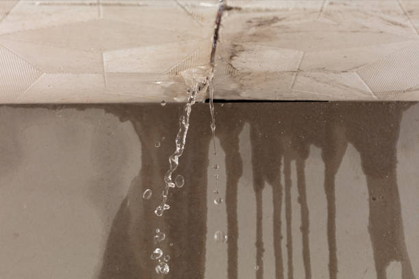 Professional Water Damage Inspection technician working in Crystal Lake, FL